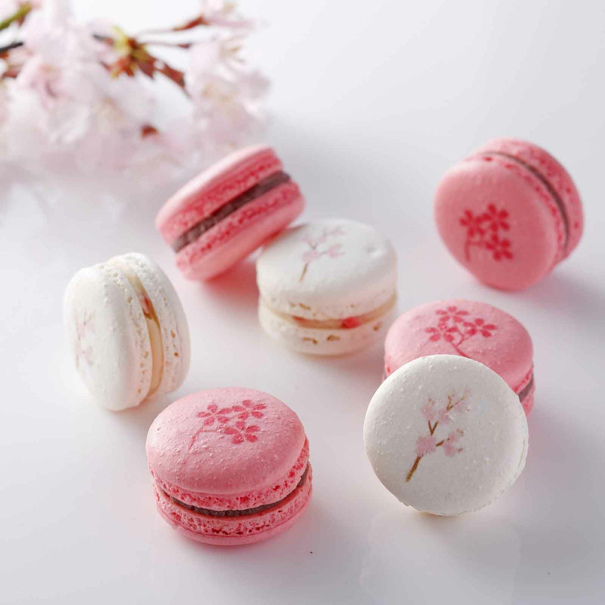 新桜マカロン【要冷蔵】
