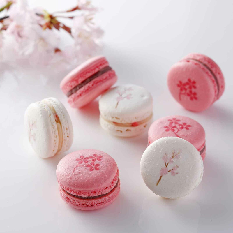 新桜マカロン【要冷蔵】